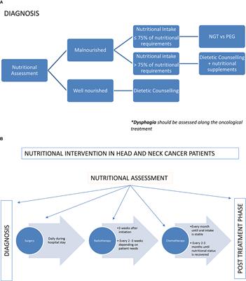 Frontiers | The Multidisciplinary Team (MDT) Approach And Quality Of Care